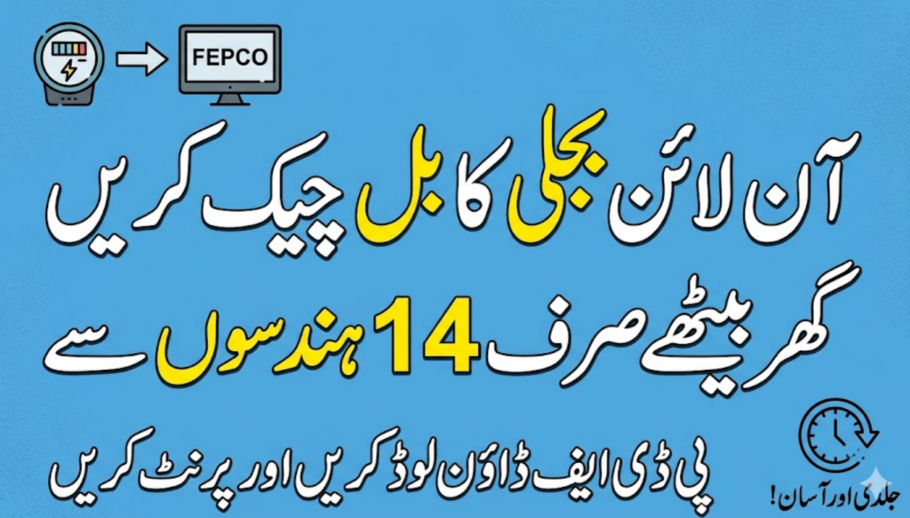 How to Check FEPCO Bill Online