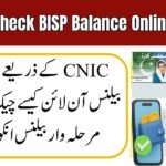 How to Check BISP Balance Online by CNIC